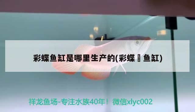 銀龍魚多少度水溫適宜（銀龍魚多少度水溫適宜生存） 銀龍魚多少度水溫適宜（銀龍魚多少度水溫適宜生存） 銀龍魚百科 第3張