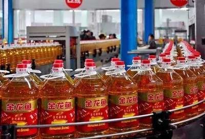 金龍魚大概多少錢（金龍魚價(jià)格一般多少錢）