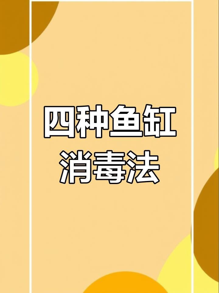 舊魚缸怎么清洗消毒