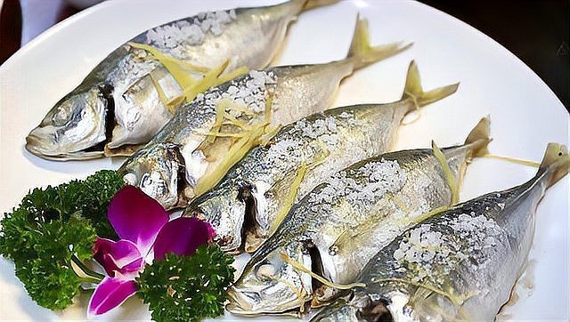 肺魚多少錢一只