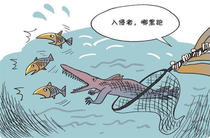 鱷雀鱔VS白金猛魚