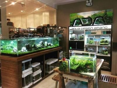 海寧水族箱養護秘籍：海寧市多家店鋪銷售水族產品