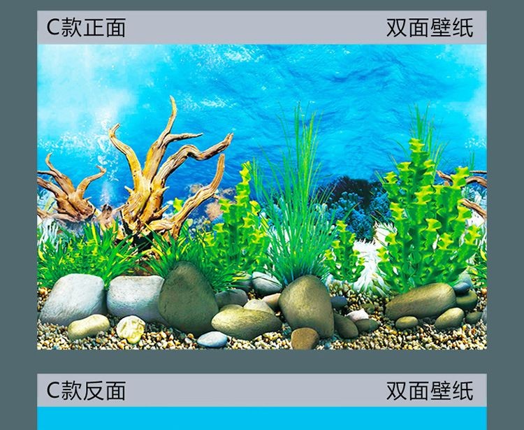 魚(yú)缸圖片 壁紙（在尋找魚(yú)缸壁紙圖片時(shí)，您可以考慮以下幾個(gè)方面的方面）