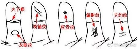龍眼紋是否真實存在？ 龍眼紋是否真實存在？ 龍魚百科 第2張