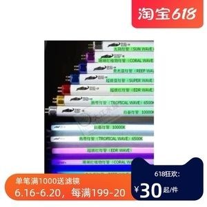 魚缸燈光與水草生長的關(guān)系：燈光與水草生長的關(guān)系 魚缸燈光與水草生長的關(guān)系：燈光與水草生長的關(guān)系 魚缸百科 第2張
