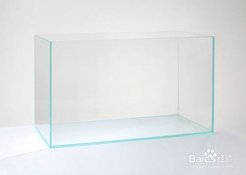 沈陽市和平區劉正陽生態水族店
