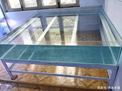 魚缸保養(yǎng)與維護(hù)全攻略：清洗魚缸水垢是養(yǎng)魚過程中的一項重要任務(wù)不僅關(guān)乎魚缸的美觀 魚缸保養(yǎng)與維護(hù)全攻略：清洗魚缸水垢是養(yǎng)魚過程中的一項重要任務(wù)不僅關(guān)乎魚缸的美觀 魚缸百科 第3張