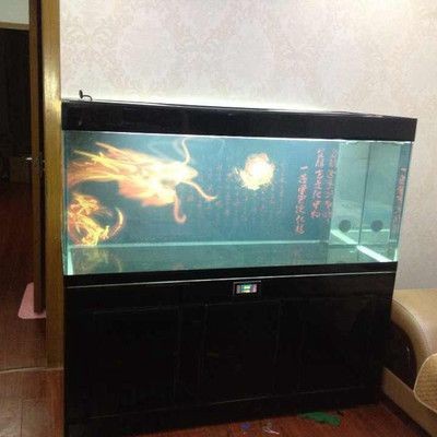 黑云魚混養魚缸裝飾建議：黑云魚混養魚缸的裝飾