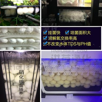 龍魚tds值代表什么：龍魚tds800的影響及應對措施
