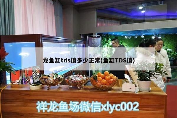 龍魚tds值代表什么：龍魚tds800的影響及應對措施