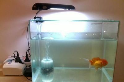 森森魚缸售后維修：森森魚缸售后服務 森森魚缸售后維修：森森魚缸售后服務 魚缸百科 第5張