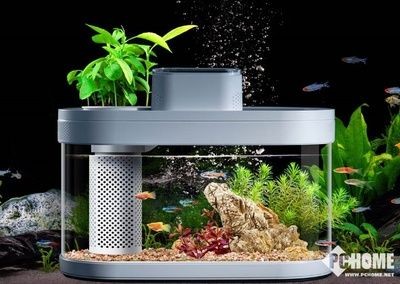 魚缸生態系統的清洗方法和注意事項和注意事項和注意事項：畫法幾何魚缸水泵清洗方法 魚缸生態系統的清洗方法和注意事項和注意事項和注意事項：畫法幾何魚缸水泵清洗方法 魚缸百科 第2張