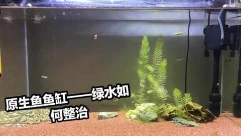 魚缸過濾系統選擇合適的魚缸和過濾器還需要掌握正確的養魚技巧：養魚技巧——養魚水質管理的科學原理 魚缸過濾系統選擇合適的魚缸和過濾器還需要掌握正確的養魚技巧：養魚技巧——養魚水質管理的科學原理 魚缸百科 第3張