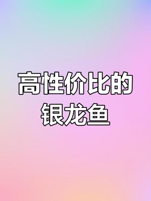 銀龍魚跟什么魚混養最好呢圖片