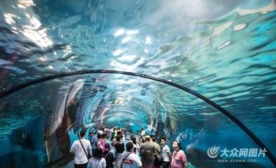 濟南水族館：山東濟南水族館門票價格開放時間開放時間開放時間 濟南水族館：山東濟南水族館門票價格開放時間開放時間開放時間 龍魚百科 第1張