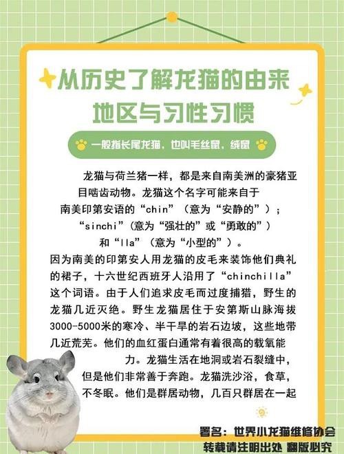 如何判斷龍貓和貓是否適應共存？