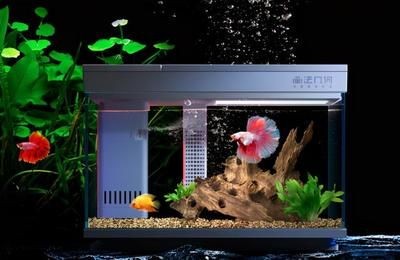 高端魚缸品牌排行榜：博宇水族器材的創新技術有哪些,森森魚缸的設計理念是什么