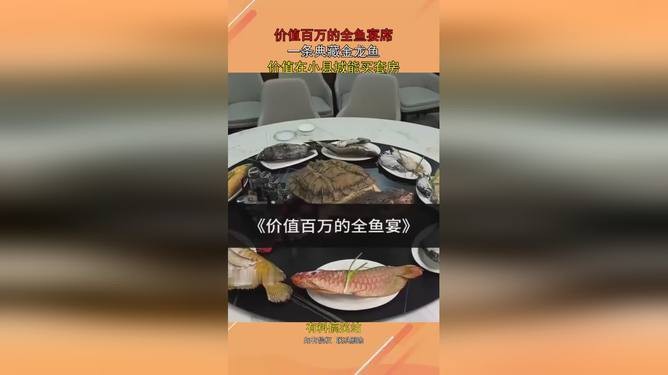 一條金龍魚大約多少錢啊視頻