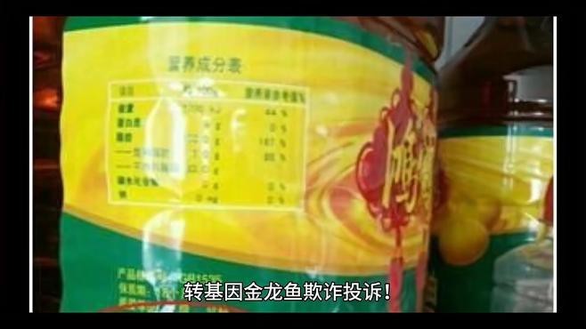 金龍魚售后服務怎么樣 金龍魚售后服務怎么樣 龍魚百科 第1張