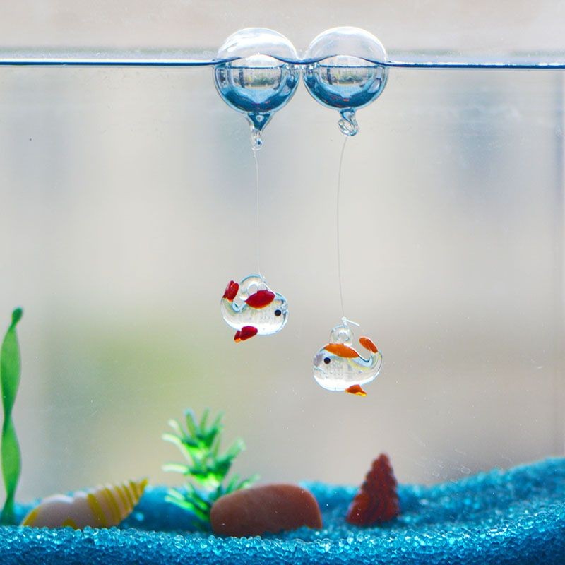 魚缸水起了很多泡泡（魚缸水起了很多泡泡可能是由多種因素引起的，了解這些措施）