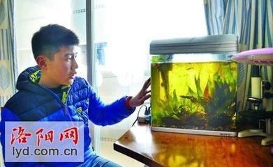 海陽市愛鱗魚缸零售店：海陽市養(yǎng)魚文化探究海陽市養(yǎng)魚文化探究海陽市養(yǎng)魚文化