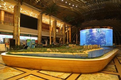 海陽市愛鱗魚缸零售店：海陽市養(yǎng)魚文化探究海陽市養(yǎng)魚文化探究海陽市養(yǎng)魚文化