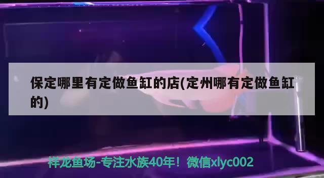 <strong><mark>保定</mark></strong>哪里有定做魚缸的店(定州哪有定做魚缸的)