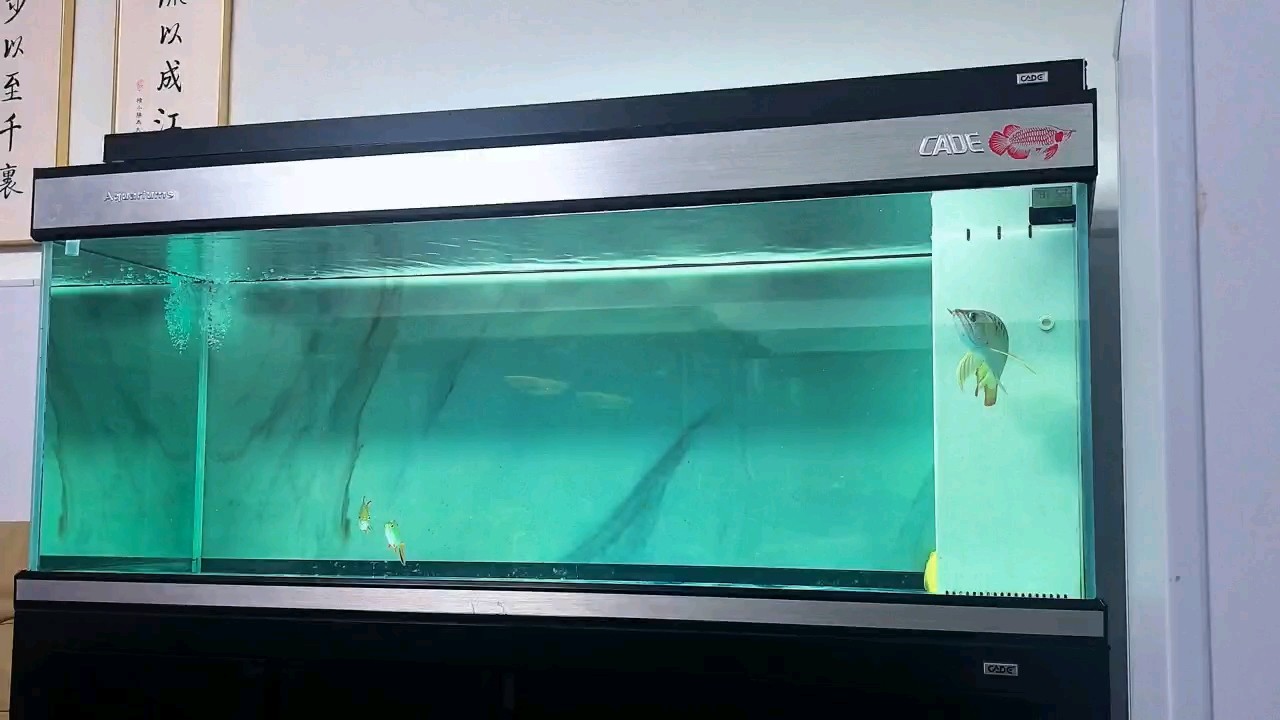 閱兵
