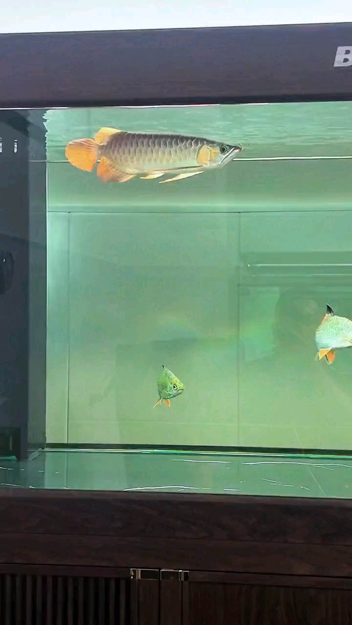 審閱小k