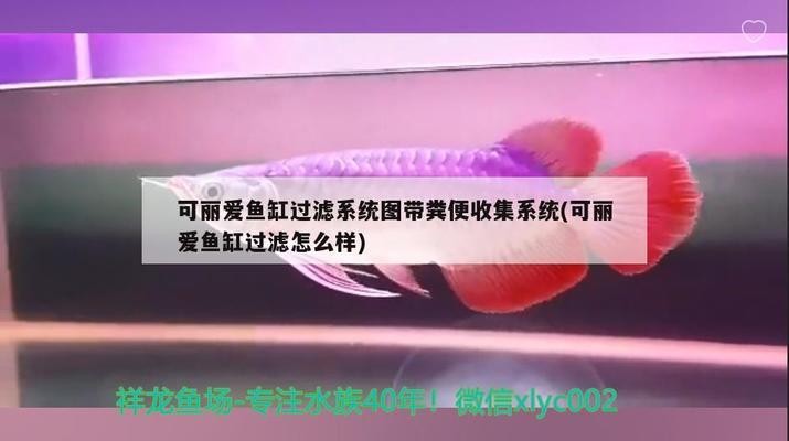 <strong><mark>江山</mark></strong>碧月水族館（<strong><mark>江山</mark></strong>碧月水族館地址）