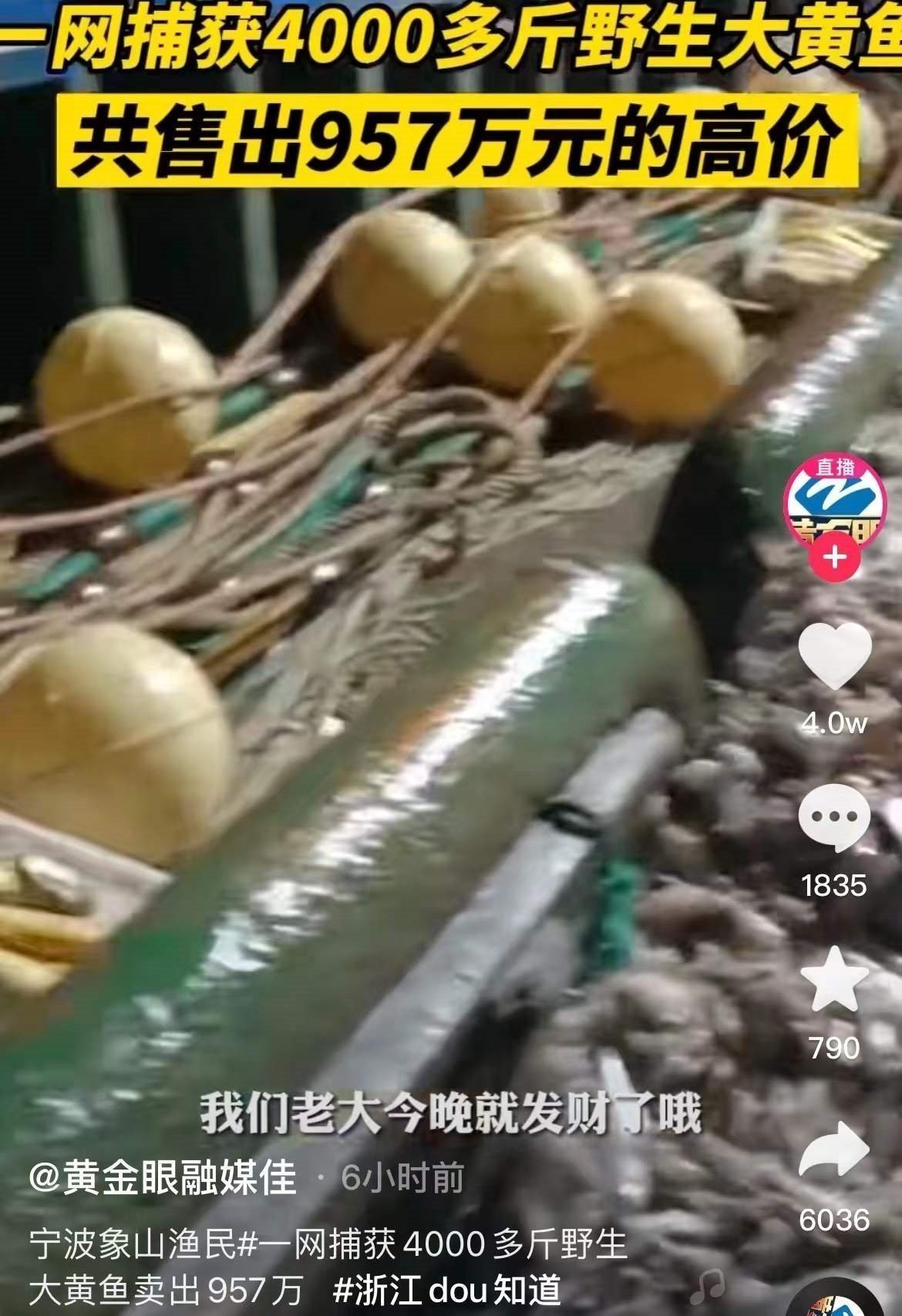龍王魚的市場供需情況如何？