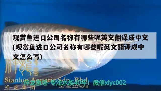 銀龍魚身上有白點是怎么回事兒圖片大全（銀龍魚頭部有白點）