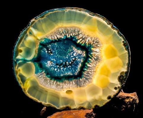 最貴金龍魚排行榜最新:全球十大最貴金龍魚排行榜 龍魚百科 第4張 最貴金龍魚排行榜最新:全球十大最貴金龍魚排行榜 最貴金龍魚排行榜最新:全球十大最貴金龍魚排行榜 龍魚百科 第4張