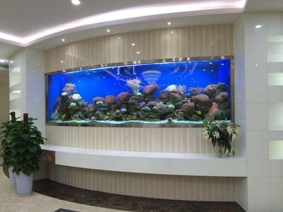黑龍江龍魚灣：黑龍江龍魚灣旅游攻略