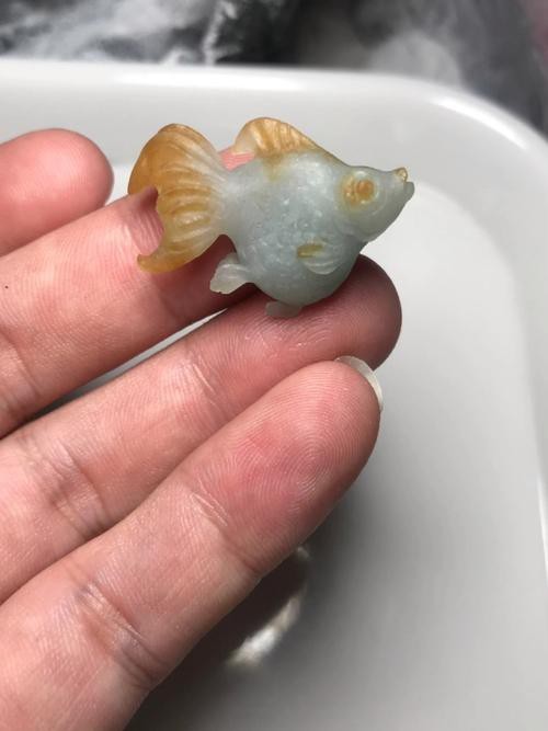 翡翠魚圖片