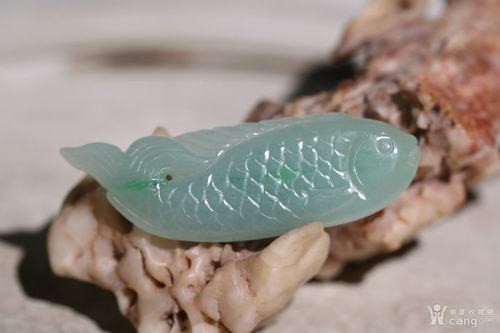 翡翠魚圖片