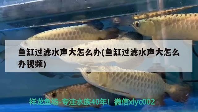 北京世珊花海苑觀賞魚店