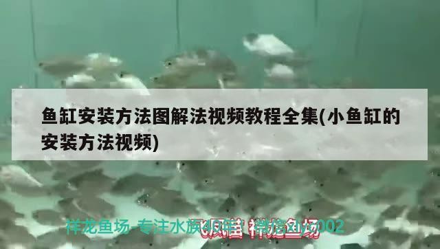 北京世珊花海苑觀賞魚店