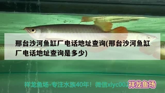 海潤魚缸：海潤魚缸以其專業的設計和可靠性在市場上占有一席之地