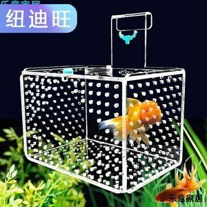 魚缸養護秘籍：挑戰缸中缸魚缸是一種怎樣的體驗？