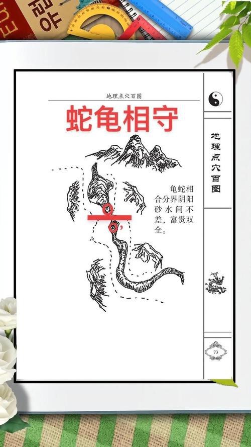 給我一些具體的龍脈風(fēng)水圖解實(shí)例 給我一些具體的龍脈風(fēng)水圖解實(shí)例 龍魚百科 第15張