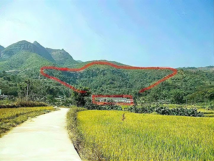 給我一些具體的龍脈風(fēng)水圖解實(shí)例 給我一些具體的龍脈風(fēng)水圖解實(shí)例 龍魚百科 第26張