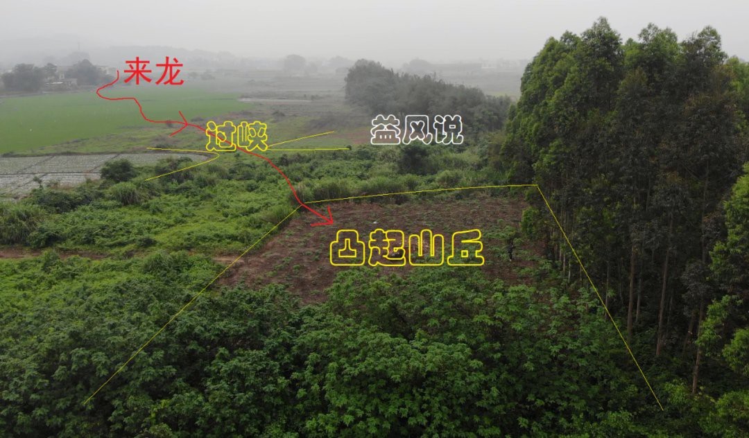 給我一些具體的龍脈風(fēng)水圖解實(shí)例 給我一些具體的龍脈風(fēng)水圖解實(shí)例 龍魚百科 第27張