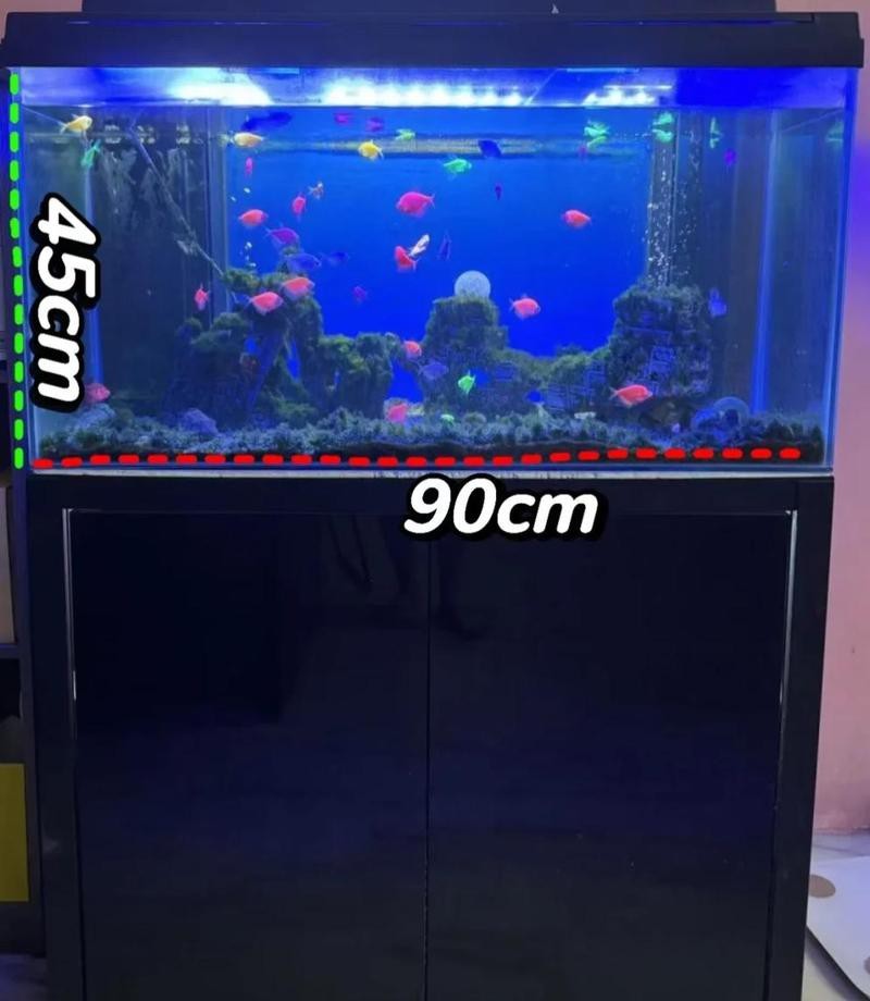 龍缸內經90cm的價格是多少？