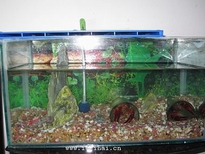 威海魚缸生產廠家排名：威海魚缸價格區間查詢
