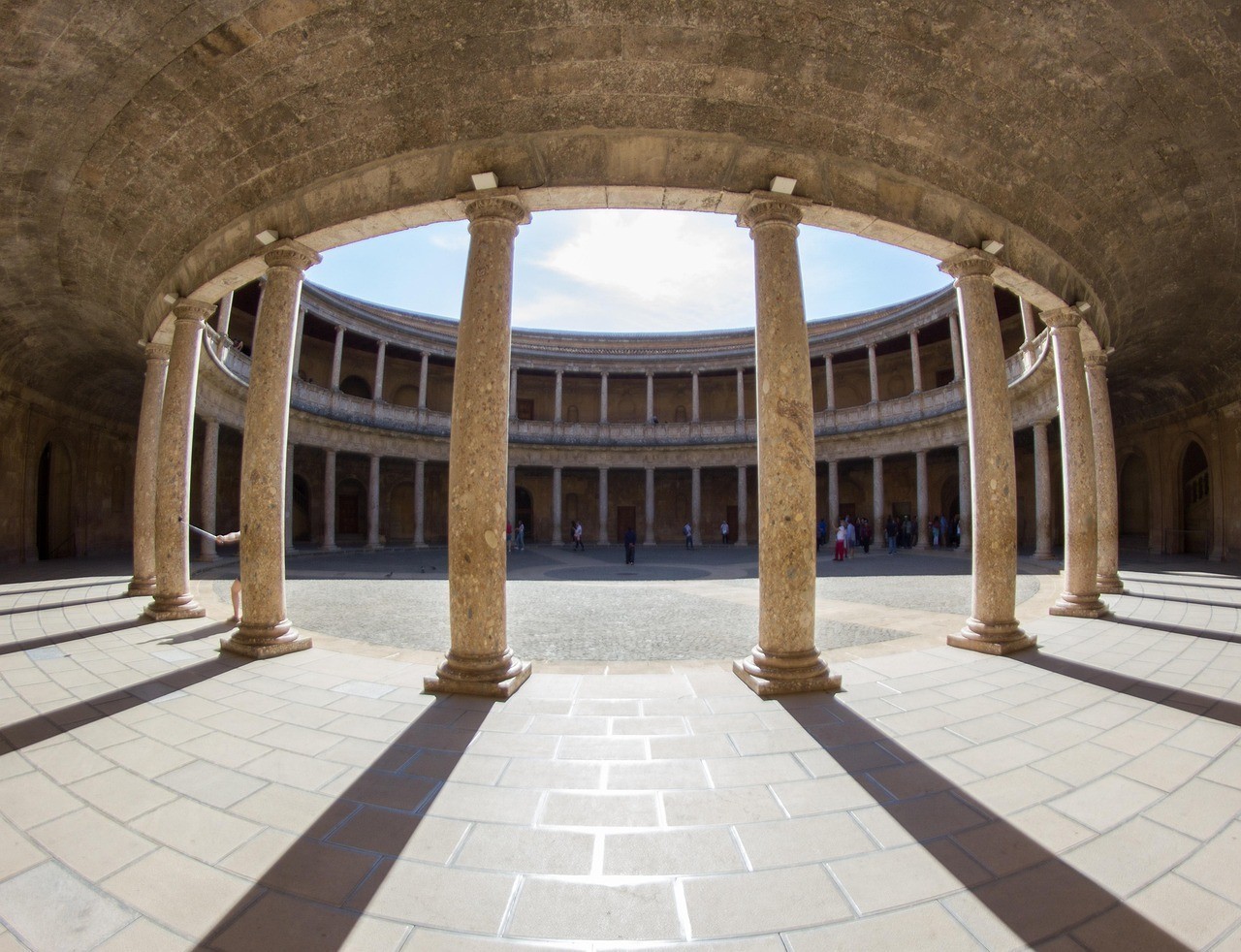 西安市閻良區創新水族店