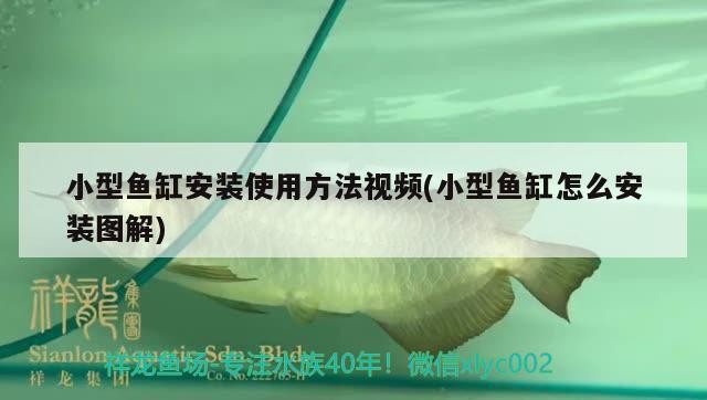 濟(jì)寧市露豐養(yǎng)殖有限公司