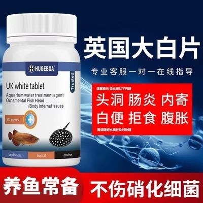 大白片治療龍魚外寄：龍魚體外寄生蟲用什么藥治療龍魚體外寄生蟲用什么藥治療