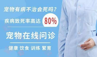 龍魚多長時間檢疫一次：龍魚的檢疫期間，龍魚的檢疫期間需要隔離觀察和水質檢測