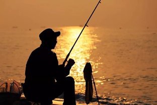 青島魚圖片大全大圖2023年最新圖片